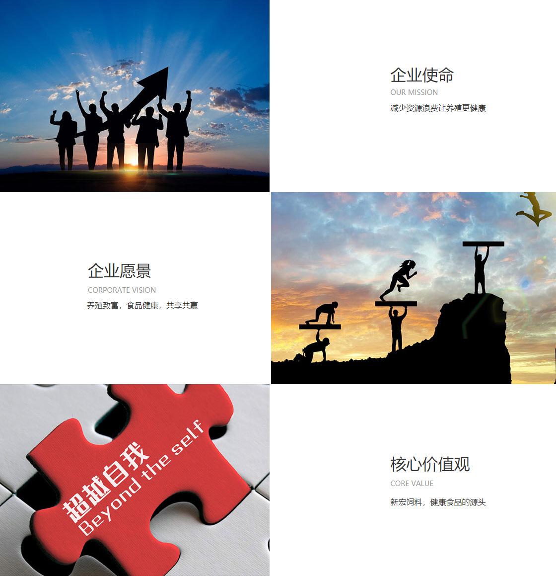 88看球app官网入口(图1)